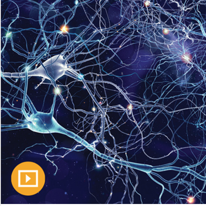 Neurology for Non-Neurologists 2022 August 31 to August 31, 2025